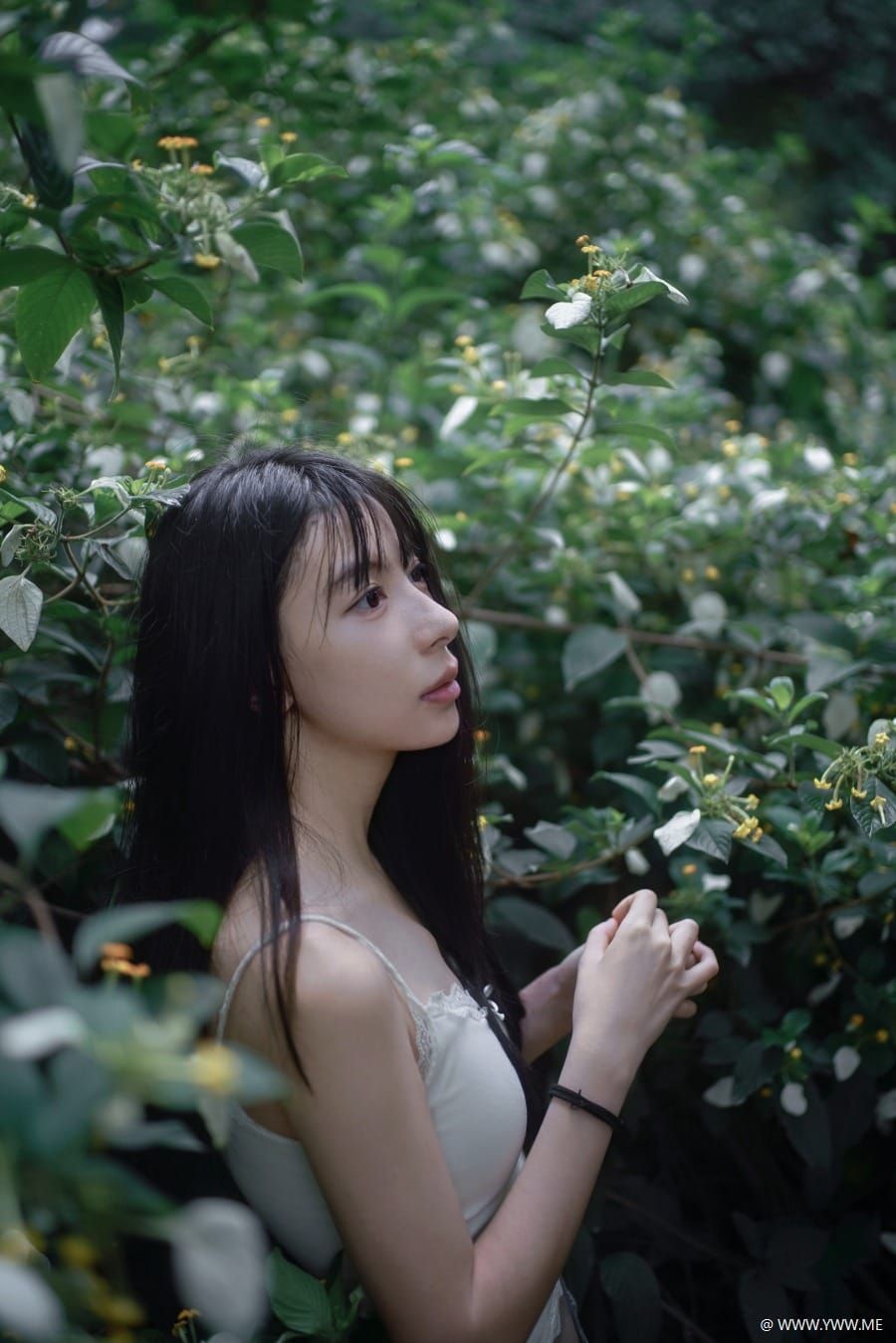 [YWW.ME] 雨林微雨 少女的湿漉漉童话-4 - HDMISS