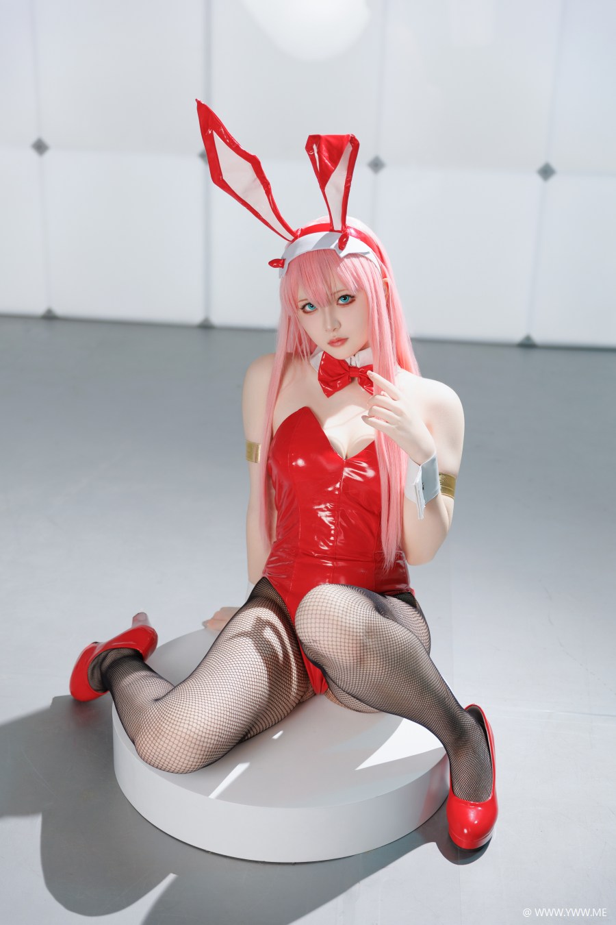 屿鱼 – Zero Two-3 - 脱兔网