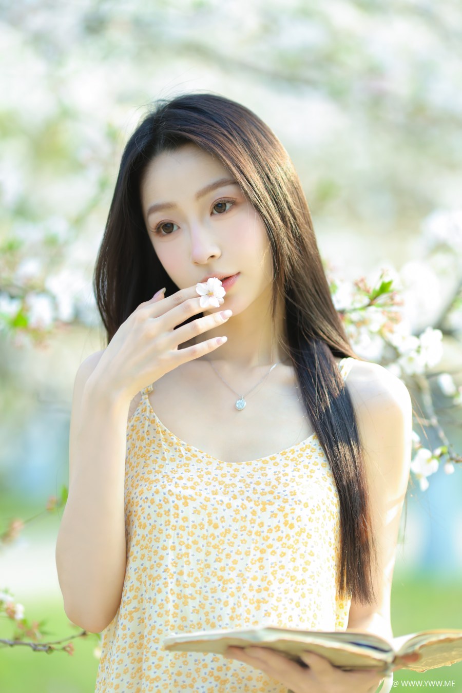 [YWW.ME] 樱花树下 小吕板板-2 - 尤丝