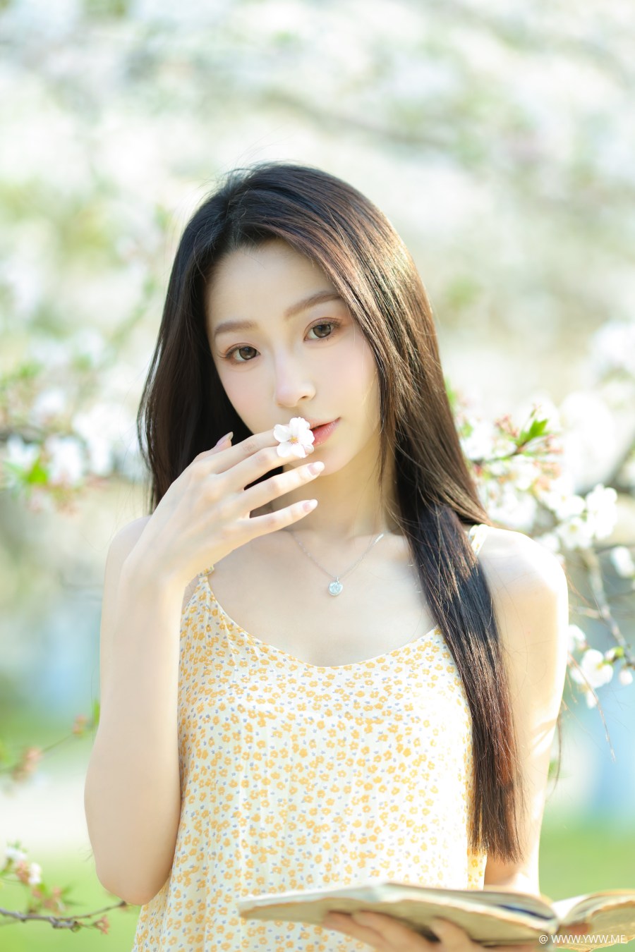 [YWW.ME] 樱花树下 小吕板板-3 - 尤丝