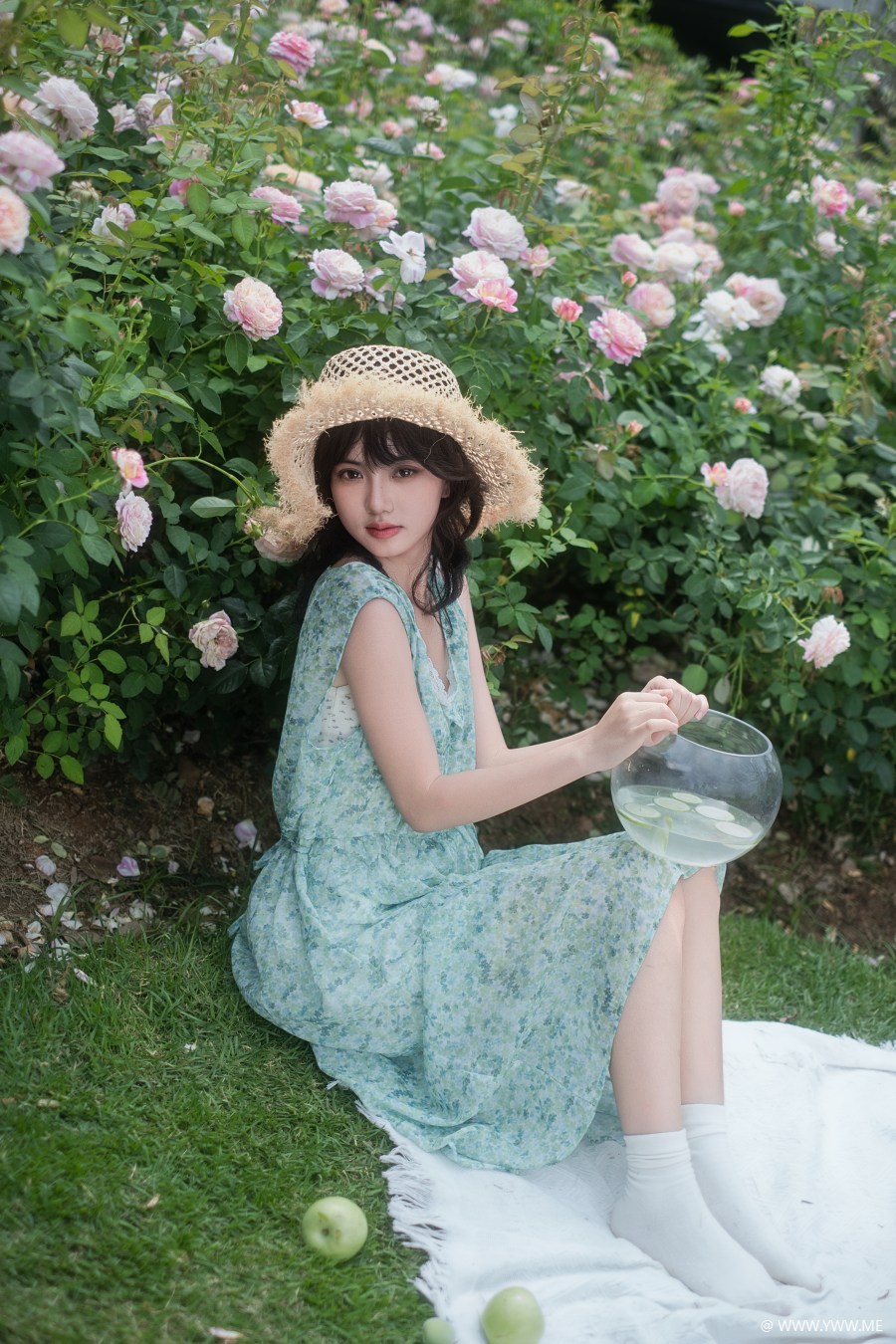 [YWW.ME] 蔷薇与青苹果的夏日 炸鱼Y-1 - 像素点