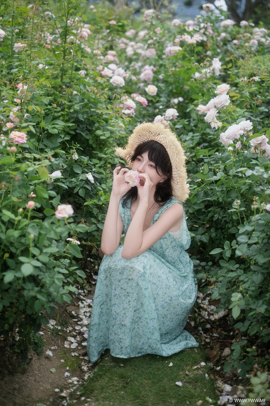[YWW.ME] 蔷薇与青苹果的夏日 炸鱼Y-2 - 像素点