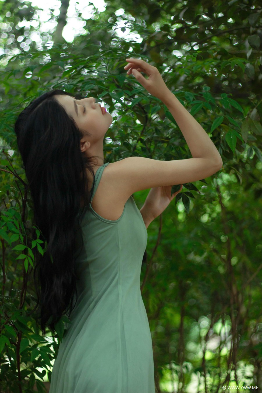 [YWW.ME] 像植物一样呼吸-3 - 像素点