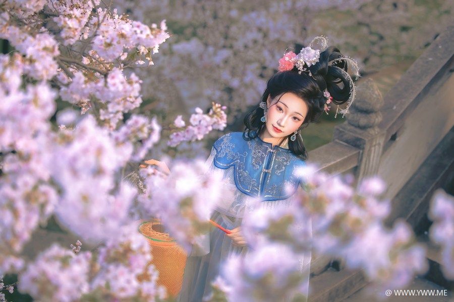 [YWW.ME] 处处山樱花压枝 是小芥末w-1 - 尤丝