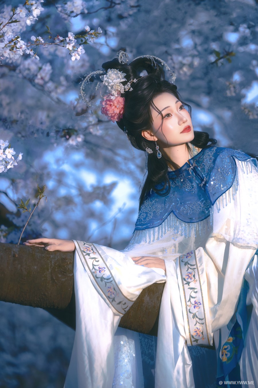 [YWW.ME] 处处山樱花压枝 是小芥末w-2 - 尤丝