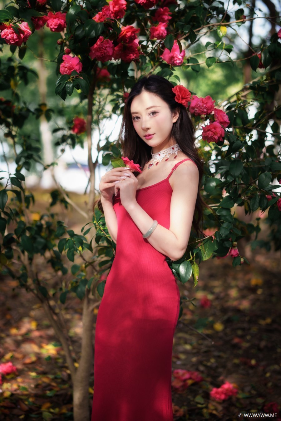 [YWW.ME] 山茶花开 邓邓（摆烂版）-2 - 尤丝